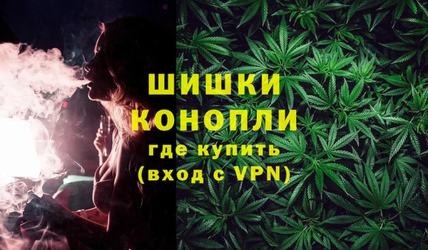 МДПВ Пересвет